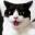 YeGoR